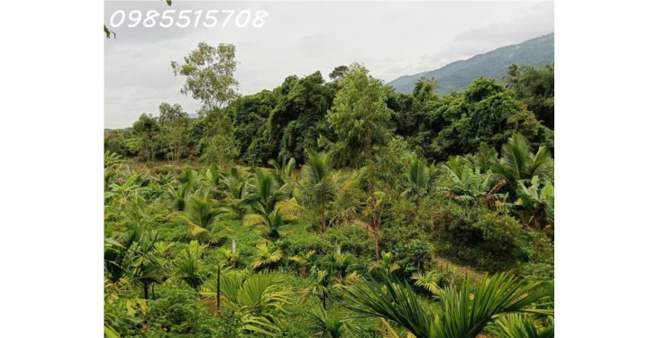 Cần tiền bán nhanh lô đất Xã Ba, Huyện Đông Giang, Quảng Nam, DT