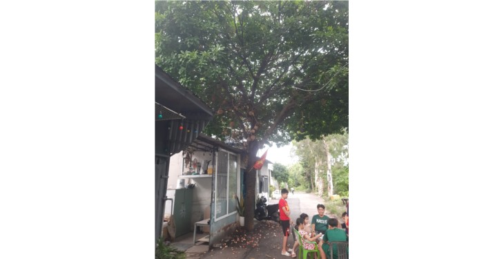 Căn nhà 30m² cực rẻ chỉ 1,32ty Phường Thạnh Xuân Quận 12