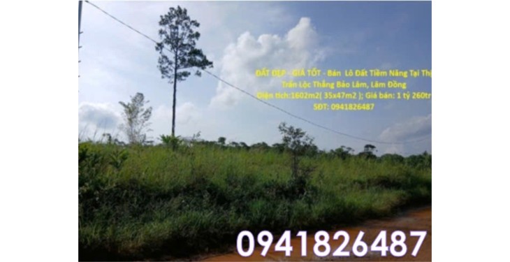 ⭐Bán lô đất tiềm năng đẹp tại thị trấn Lộc Thắng, Bảo Lâm, Lâm Đồng;