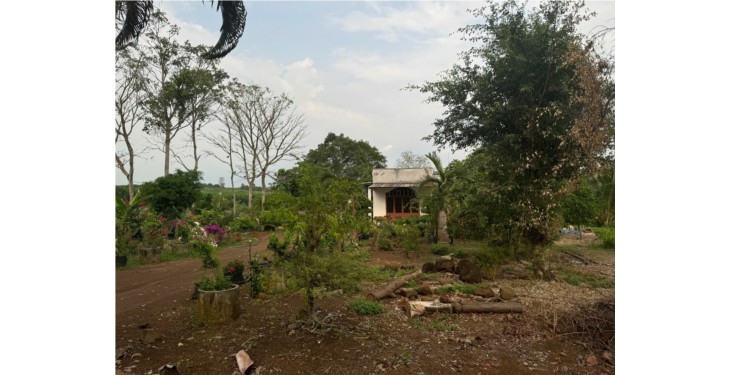 Bán đất trồng cây lâu năm xã Cẩm Đường Long Thành Đồng Nai