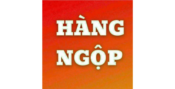 Sỡ hữu ngay căn homestay đẹp gần đường Chế Lan Viên, TP. Đà Nẵng 