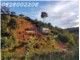 Chính chủ bán nhanh 5518m2 đất tại Xuân Trường, Đà Lạt, giá 4.5 tỷ
