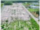 BÁN GẤP GIÁ 580TR LÔ ĐẤT 200M2 Ở TRUNG TÂM CHƠN THÀNH, BÌNH PHƯỚC