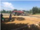 Lô 100m2 Phú Mãn ngay QL21, CNC, ĐHQG giá 3 tỷ 4