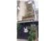 Bán nhà sát mt Tân Chánh Hiệp 3 Q12 , 66m2-4tang , đường 8m - 6 TỶ HƠN