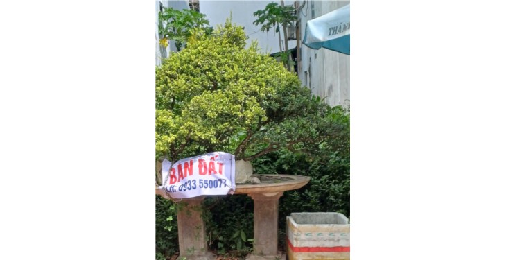 Chính chủ Bán đất mặt tiền khu Thanh Niên, Diện tích 118 m2 Giá chỉ hơ