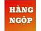 Sỡ hữu ngay căn homestay đẹp gần đường Chế Lan Viên, TP. Đà Nẵng 